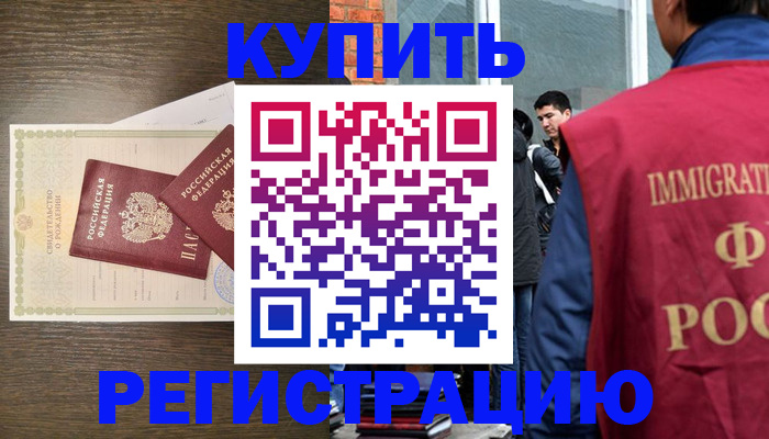 прописка для школы в Ленинградской области